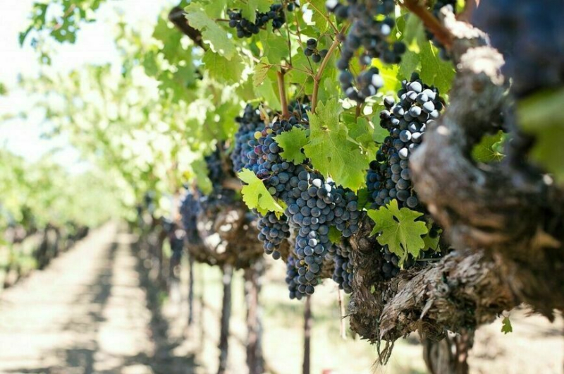 Кому и за что достались государственные премии Крыма