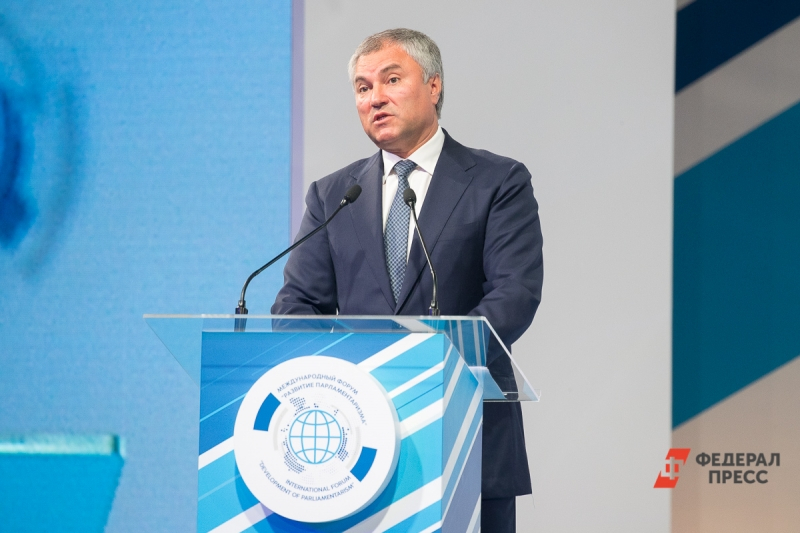 Володин рассказал, у кого из россиян конфискуют имущество