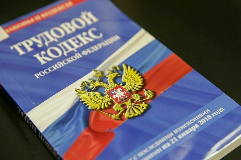 Комитет Совфеда поддержал закон о запрете увольнять одиноких родителей