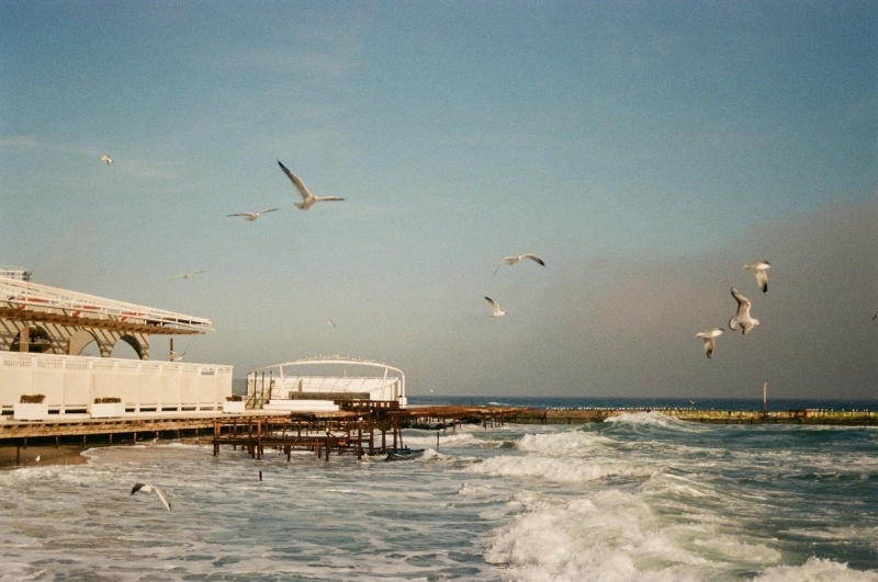 В США рассказали, когда Россия освободит Харьков и Одессу