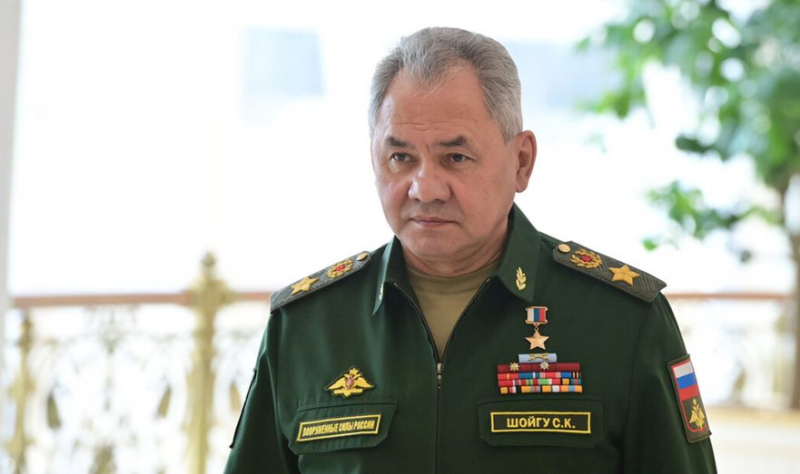 Шойгу принял участие в высадке деревьев в Астане