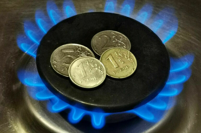 В Госдуме поддержали отмену монополии на обслуживание газового оборудования