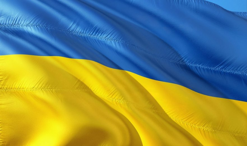 Депутат ЕП&nbsp;Уоллес: Союзники скупают землю на&nbsp;западе Украины за&nbsp;гроши