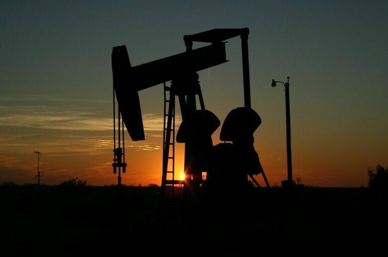 Нефтегазовые доходы бюджета России за 11 месяцев выросли на 25,7%