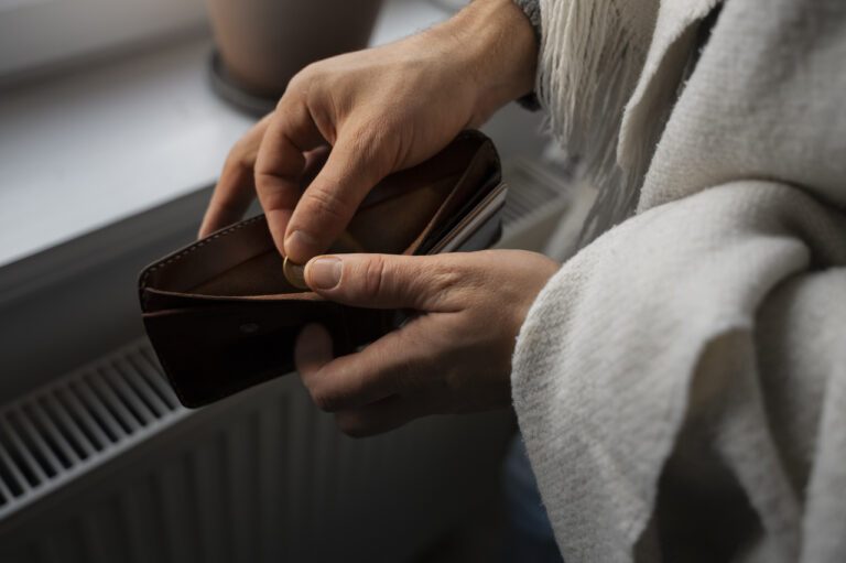 В России выявлено более 700 случаев хищения социальных выплат на неродившихся детей