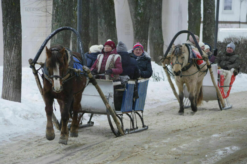 Не такой уж и маленький: малый бизнес заплатил более девяти триллионов налогов в 2024 году