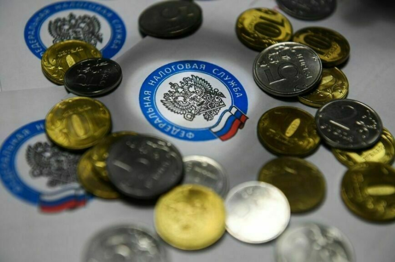 Самозанятых просят приравнять к микропредприятиям