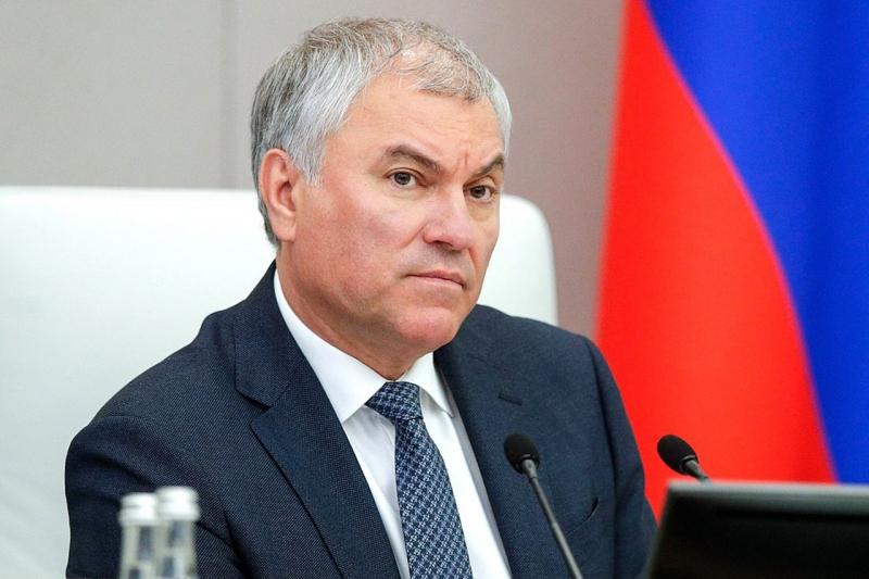 Володин запустил опрос о защите детей от деструктивного контента