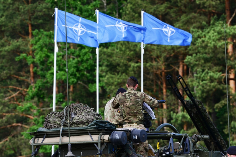 Вся Европа: в Госдуме раскрыли, какие страны могут быть военной угрозой для России