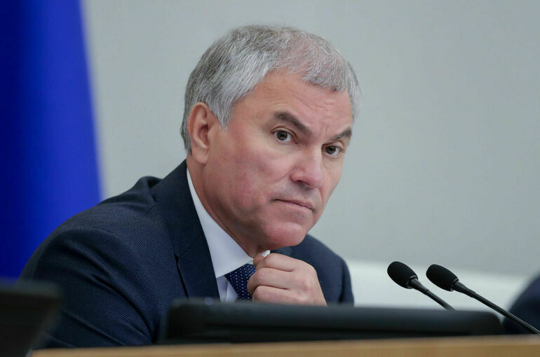 Володин рассказал, чем опасно повышение квалификации медиками в частных фирмах