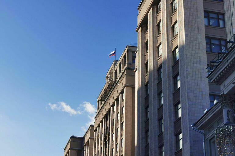 Госдума приняла обращение к Мишустину по вопросу бездомных животных