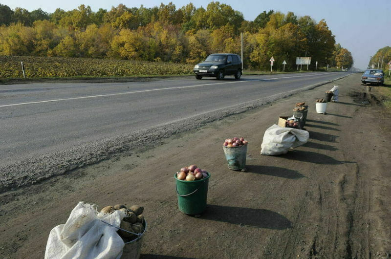 Работа над ошибками: почему россиянам не хватило картошки