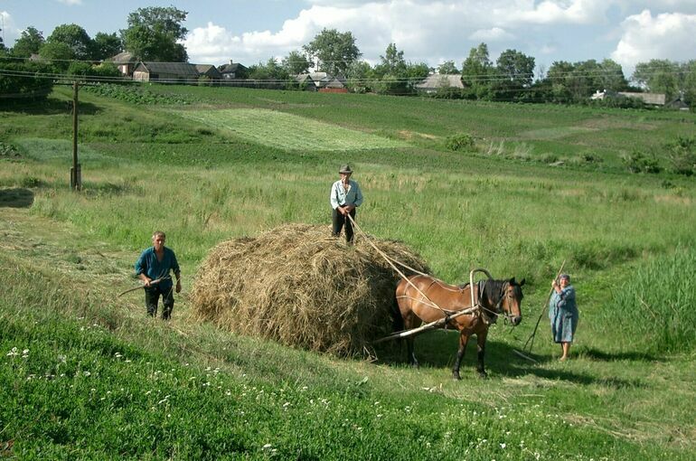 Сведения о пашнях и виноградниках хотят вносить в Единый реестр недвижимости